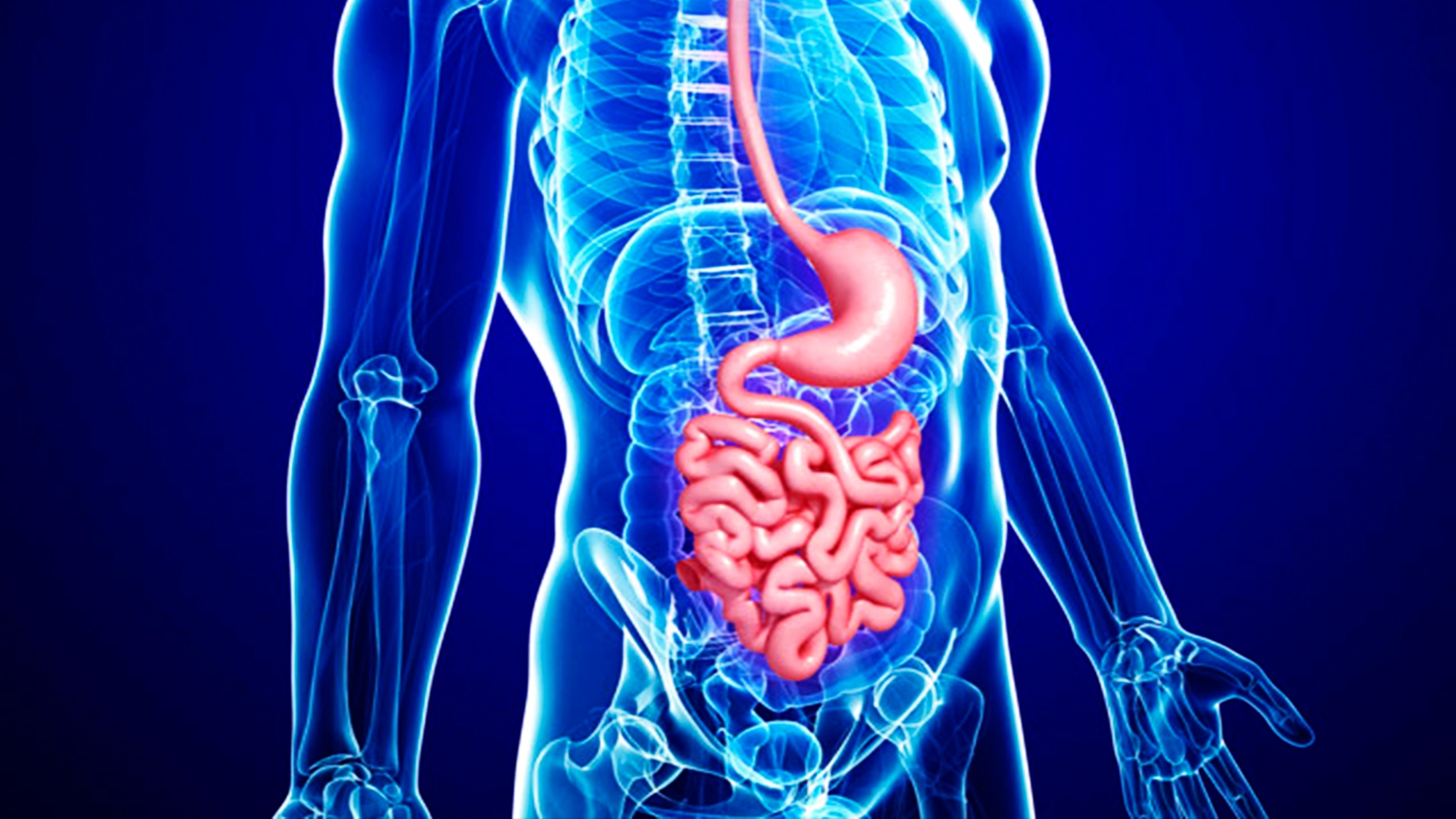 Gastroenterology